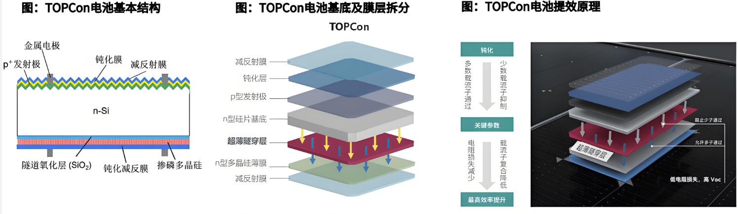 TOPCon組件為什么背面能用EVA